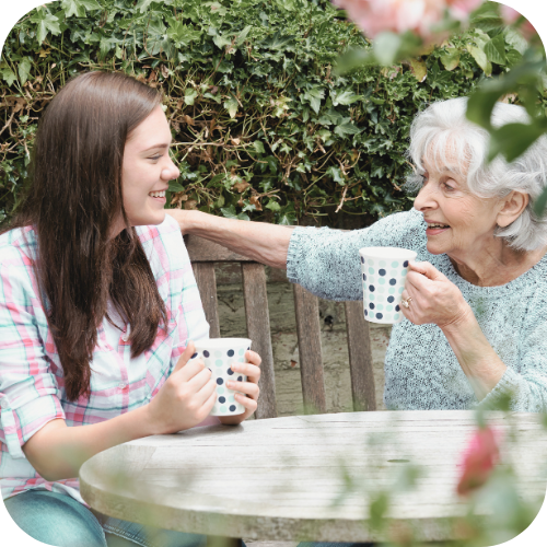 Aged care volunteer visitor scheme (2)