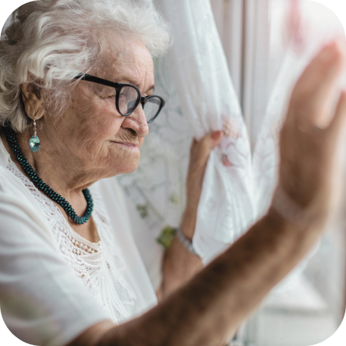 Aged care volunteer visitor scheme