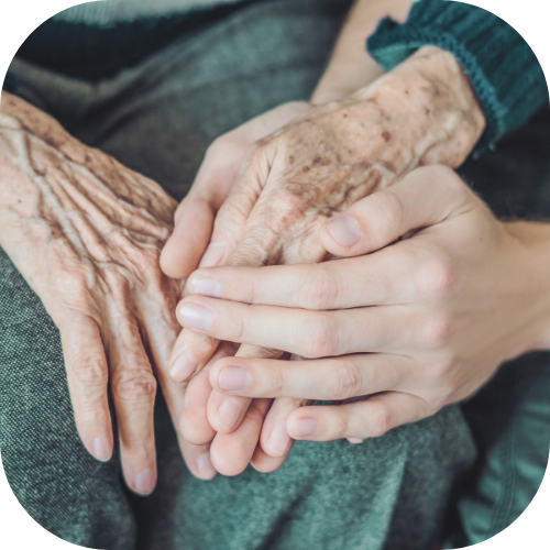 Palliative care  Bayswater